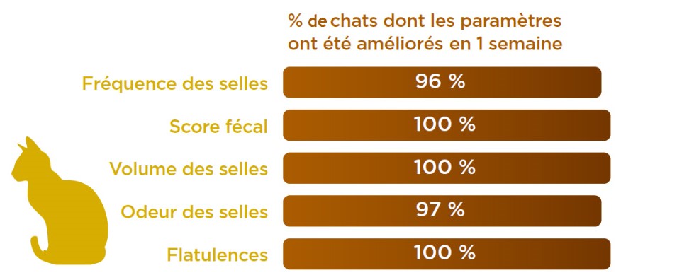 stats-parametres-digestifs-chats.png