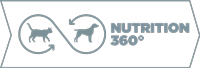 Fleche_360_200.png