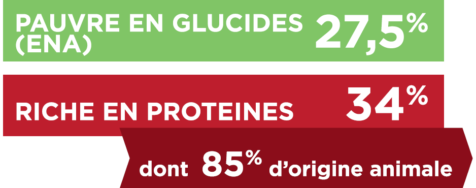 TX-GLUCIDES_PROTEINES (2).PNG