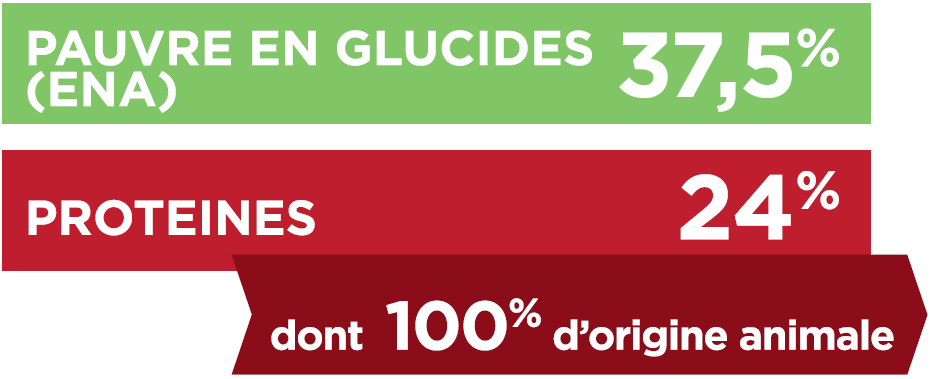 TX-GLUCIDES_PROTEINES.PNG