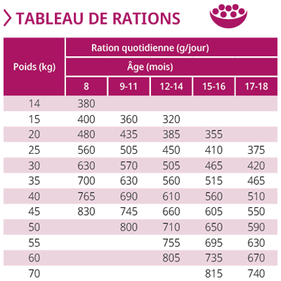 tableau-ration-junior-large.jpg